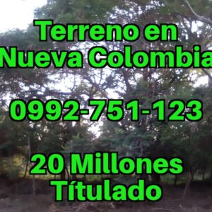 Vendo Terreno Títulado en Nueva Colombia