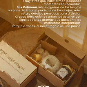 BOX COLMENA